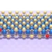 Des transistors extrêmement fins rapprochent les puces économes en énergie du futur