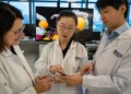 Des chercheurs créent un capteur souple qui transforme le toucher en action robotique sans électronique