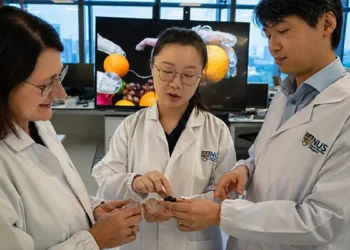 Des chercheurs créent un capteur souple qui transforme le toucher en action robotique sans électronique
