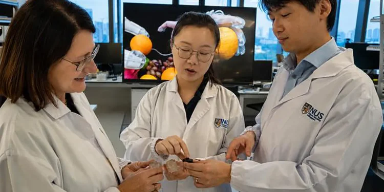 Des chercheurs créent un capteur souple qui transforme le toucher en action robotique sans électronique
