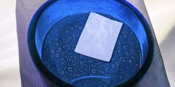 Les ingénieurs du MIT créent un hydrogel plus respirant