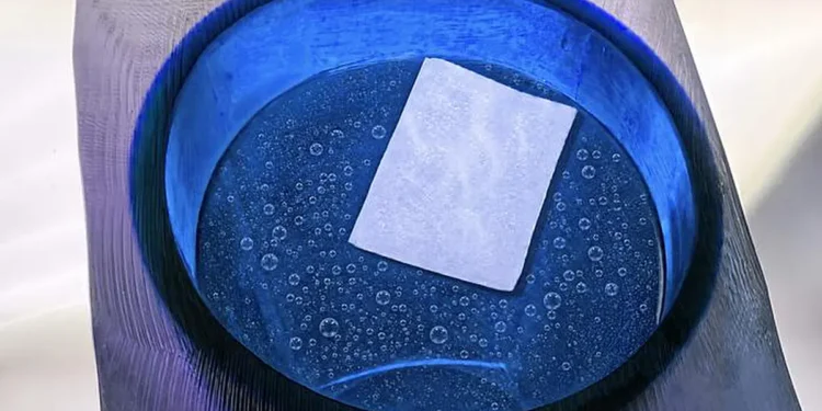 Les ingénieurs du MIT créent un hydrogel plus respirant