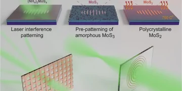 Optique des couches minces : impression laser de structures optiques diffractives en TMD 2D