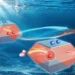 Une étude retrace l'évolution des trous photogénérés, de la séparation au transfert en photocatalyse