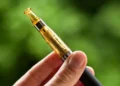 Cigarette électronique en été : les règles d'or pour vapoter sans risque