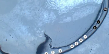 Qu'est-ce qu'un bio-métal ? Explorer le mystère métallique d'une mâchoire ancienne