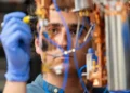 Un bain quantique synchronise des qubits distants