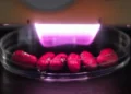 L'agriculture par plasma progresse vers le surpassement des méthodes conventionnelles