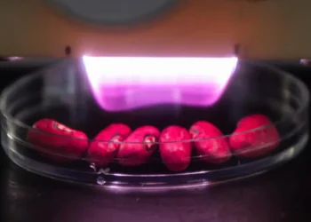L'agriculture par plasma progresse vers le surpassement des méthodes conventionnelles
