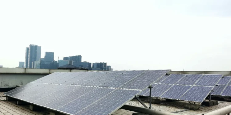 Appel d'offres solaire PPE2 : un projet sur cinq seulement franchit la barre