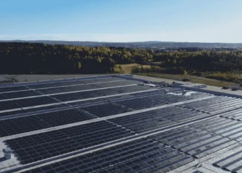 DHL et LONGi Solar scellent un partenariat pour verdir la logistique européenne