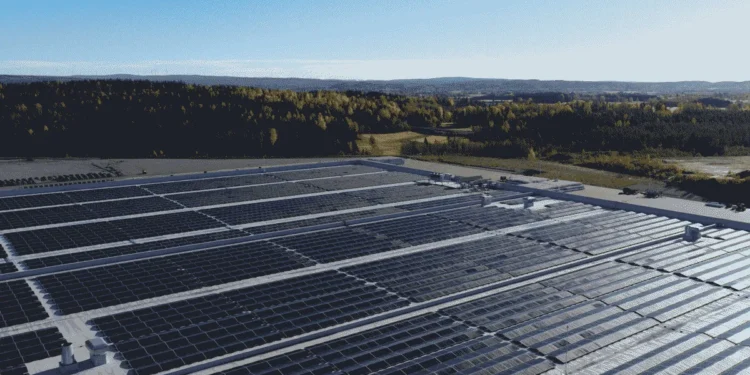 DHL et LONGi Solar scellent un partenariat pour verdir la logistique européenne