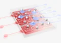 Un ordinateur fait de particules oscillant dans un liquide