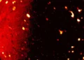 La sonde Juno de la NASA mesure la température sous la surface de la lune volcanique de Jupitero mission, led by Southwest Research Institute’s Dr. Scott Bolton, captured this infrared view of Jupiter’s vo