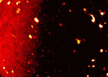 La sonde Juno de la NASA mesure la température sous la surface de la lune volcanique de Jupitero mission, led by Southwest Research Institute’s Dr. Scott Bolton, captured this infrared view of Jupiter’s vo