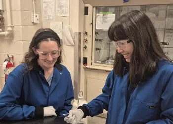 Un additif pourrait accélérer la dégradation du PLA dans les composteurs domestiques