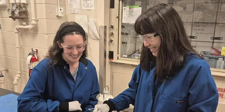 Un additif pourrait accélérer la dégradation du PLA dans les composteurs domestiques