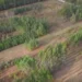 Quand le feu anéantit trente ans de recherche forestière à Cestas