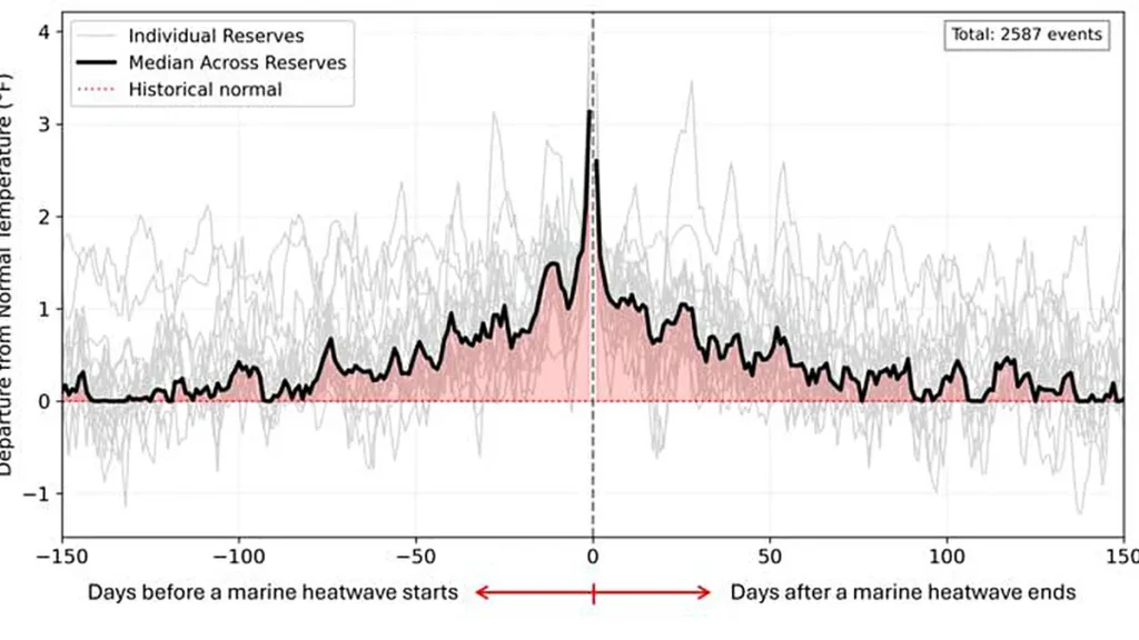 L'anomalie globale de la température de surface de la mer (TSM) reflète l'exposition thermique cumulative avant et après l'événement, hors événements MHW. (Crédit : Ricardo Utzig Nardi)