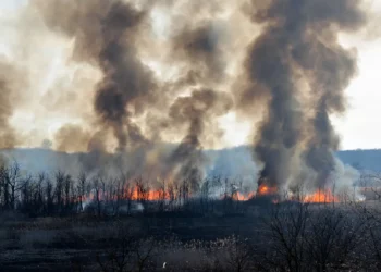 Oui, respirer la fumée des incendies de forêt peut nuire à votre santé, voici comment vous protéger