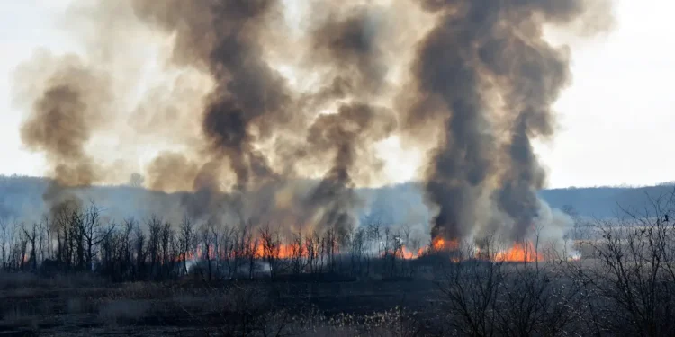 Oui, respirer la fumée des incendies de forêt peut nuire à votre santé, voici comment vous protéger