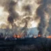 Oui, respirer la fumée des incendies de forêt peut nuire à votre santé, voici comment vous protéger
