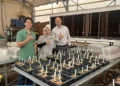 Un chercheur aide à développer un spray économique pour les tomates en sols salins