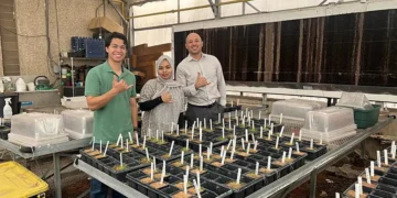 Un chercheur aide à développer un spray économique pour les tomates en sols salins