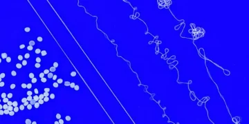 Des ingénieurs du MIT conçoivent un fil élastique recyclable