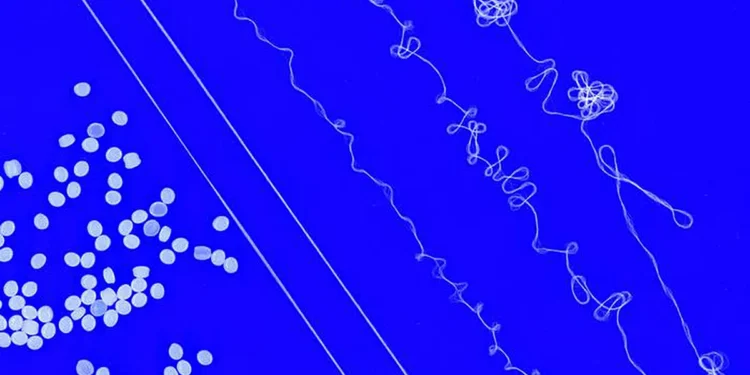 Des ingénieurs du MIT conçoivent un fil élastique recyclable