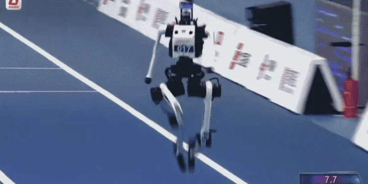 Des robots chinois battent le record d'Usain Bolt sur 100 mètres