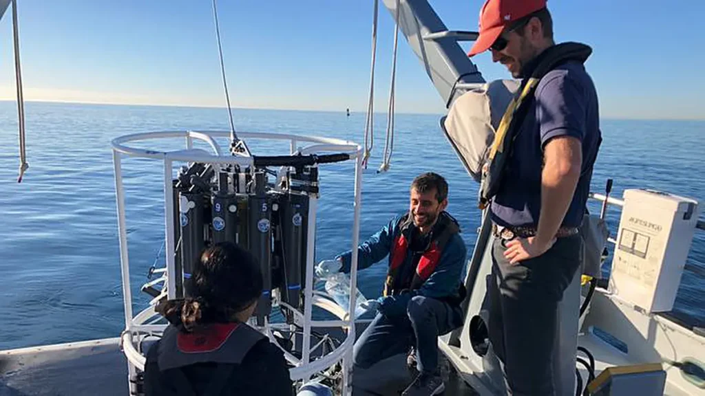 Ajouter du fer dans l’océan peut éliminer le CO2 – mais à quel prix pour la nature ?