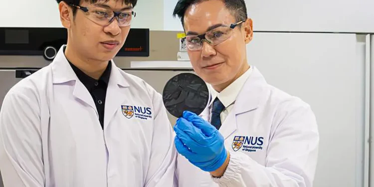 Mr Ngo Minh Quang Phan (left), first author of the study, and Associate Professor Duong Hai Minh, who led the research,