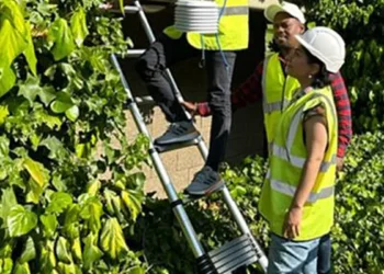 La défense naturelle qui pourrait aider les villes à vaincre la chaleur extrême