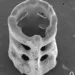 The researchers’ custom resin and computational techniques allow true 3D printing with a single laser exposure.