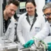 Un isolant en carbone d'épaisseur atomique pour les microprocesseurs de nouvelle génération