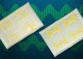 Des bactéries programmées pour calculer au cœur des cultures