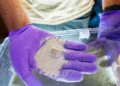 Une bactérie marine modifiée accélère la capture de CO2