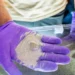 Une bactérie marine modifiée accélère la capture de CO2