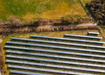 Parc photovoltaïque au sol : ce qu’un bail emphytéotique rapporte réellement au propriétaire foncier