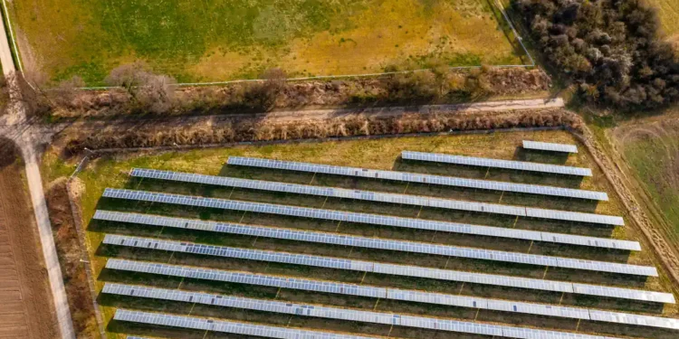 Parc photovoltaïque au sol : ce qu’un bail emphytéotique rapporte réellement au propriétaire foncier