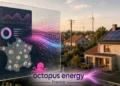 Octopus Energy France rachète les 20 000 contrats particuliers d'elmy