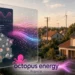 Octopus Energy France rachète les 20 000 contrats particuliers d'elmy