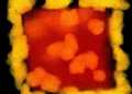 Les photons créent des boîtes dorées, les électrons mènent aux coquilles
