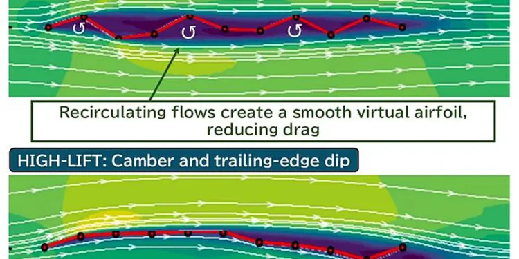Décrypter l'aérodynamique des profils d'aile ultra-fins bio-inspirés