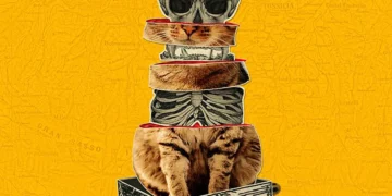 Qu'est-ce qui tue le chat de Schrödinger ?