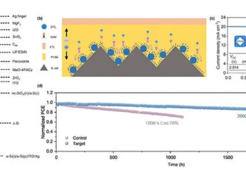 Les cellules solaires tandem pérovskite/silicium atteignent 34 % de rendement avec une tension record de 2,014 V