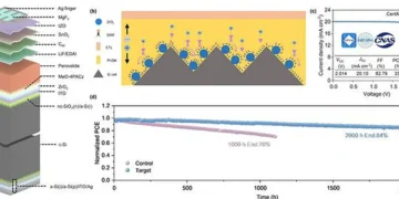 Les cellules solaires tandem pérovskite/silicium atteignent 34 % de rendement avec une tension record de 2,014 V