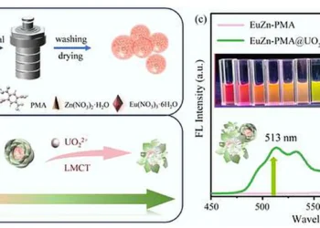Une sonde fluorescente bimétallique permet une détection ultrasensible de l'uranium via un smartphone
