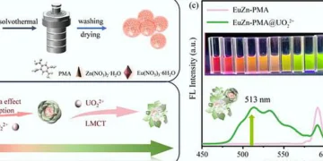 Une sonde fluorescente bimétallique permet une détection ultrasensible de l'uranium via un smartphone
